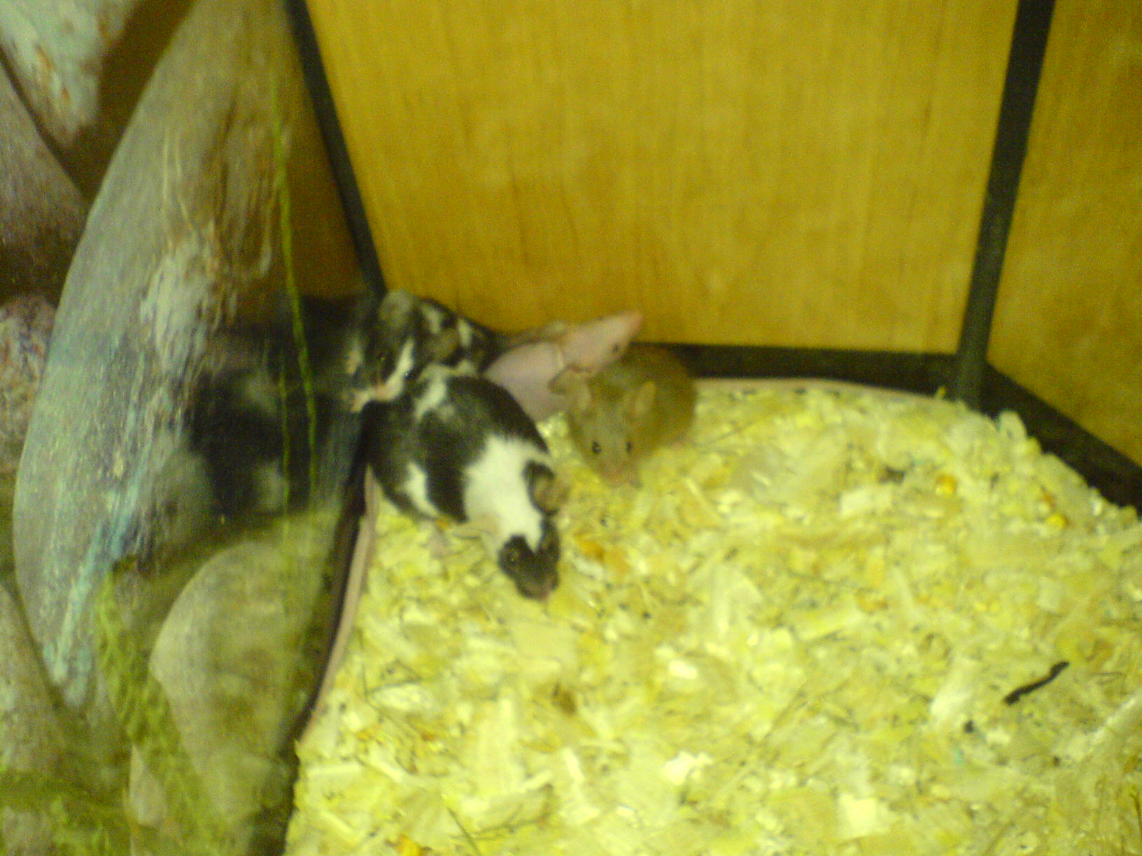 DSC02912.JPG
